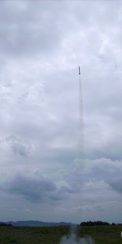 2013 Suche 29062013 Olivera